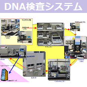 DNA検査システム